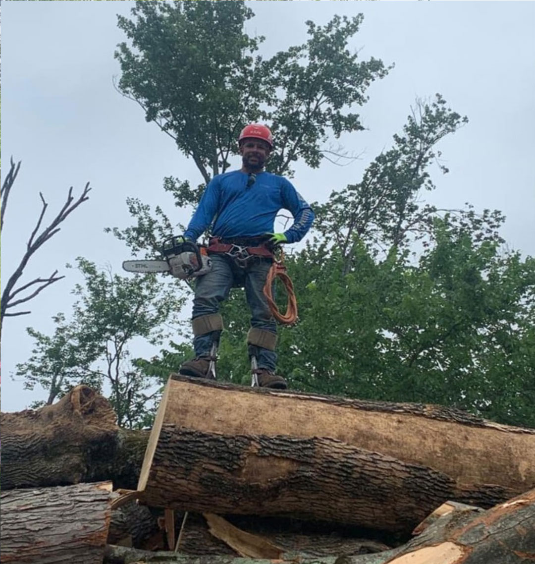 tree-removal-services-near-me